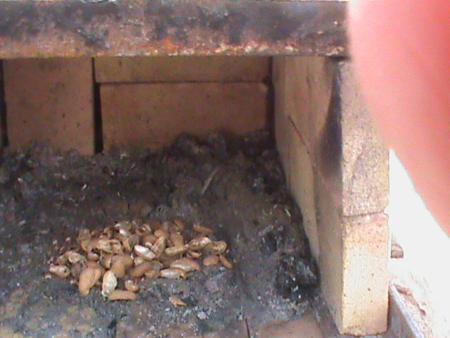 Brick Oven - Inside